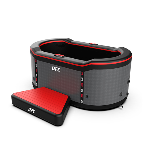 Jarvi UFC 3